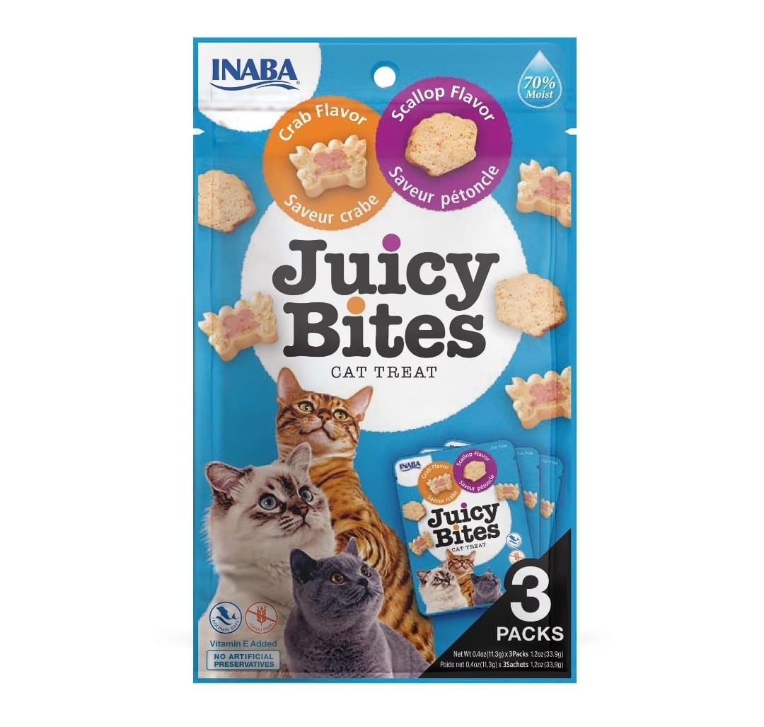 WhatsApp Image 2022-10-13 at 12.10.32 PM.jpeg